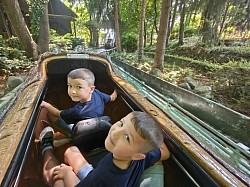 Wildbahn